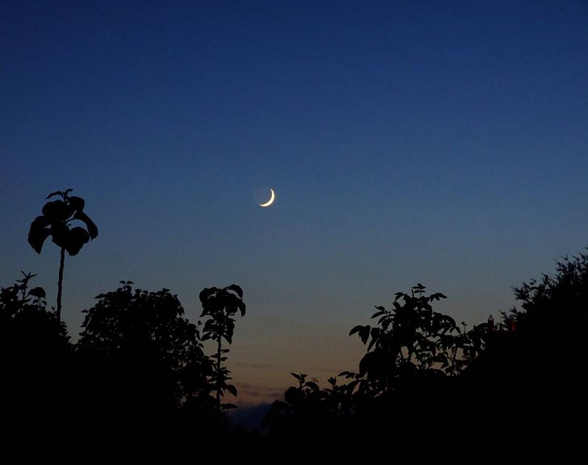 Lua nova em Câncer - Sensibilidade à flor da pele
